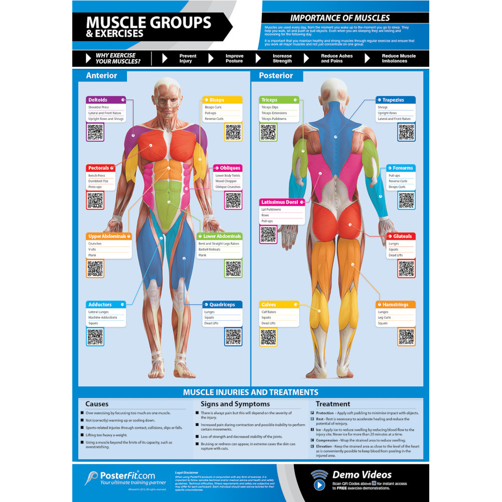 Product Image 8 - POSTERFIT CONDITIONING CHART SET