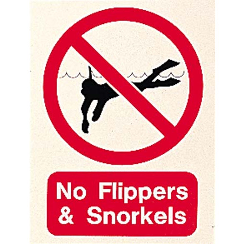 Product Image 1 - NO FLIPPERS AND SNORKELS SIGN
